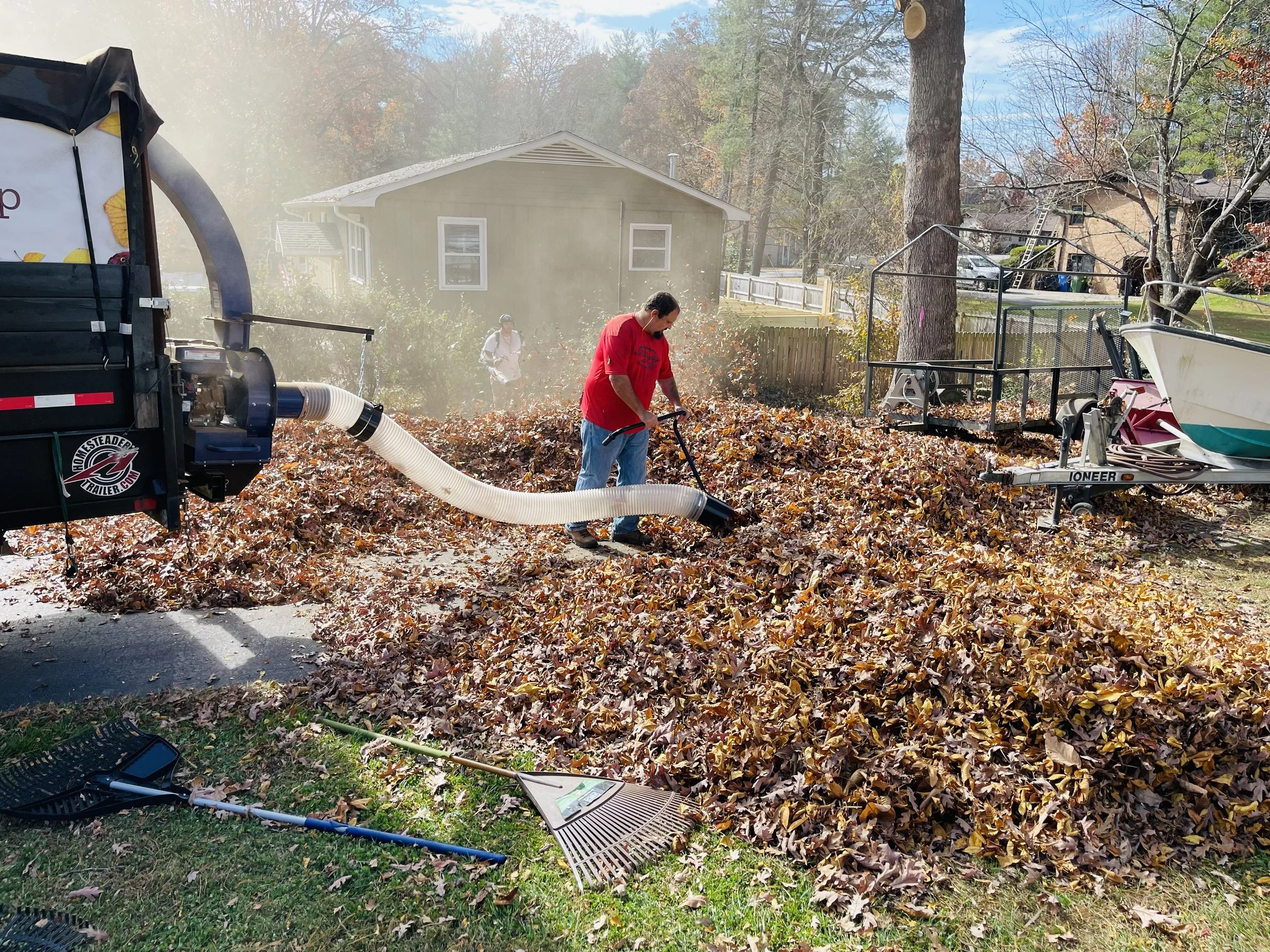 Landscaping services in Mathis