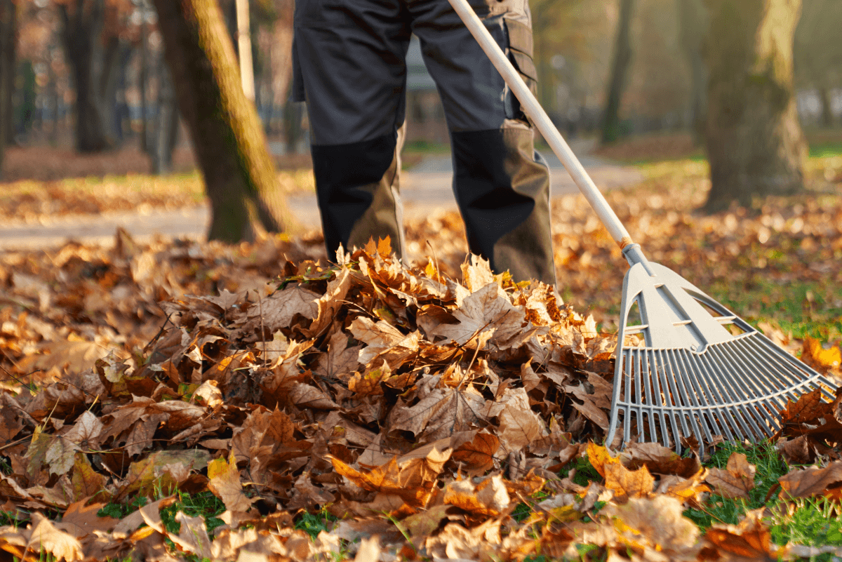 Landscaping services in Mathis