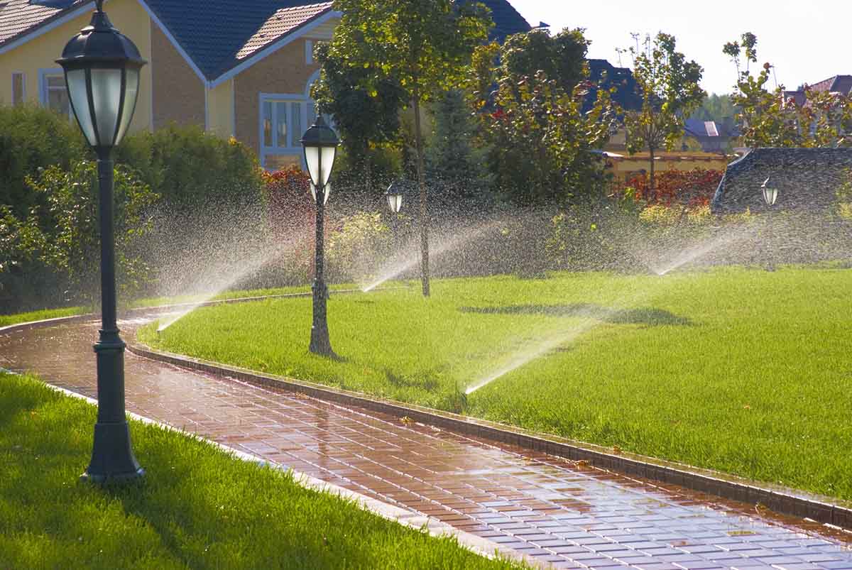 View leaf removal project in Portland
